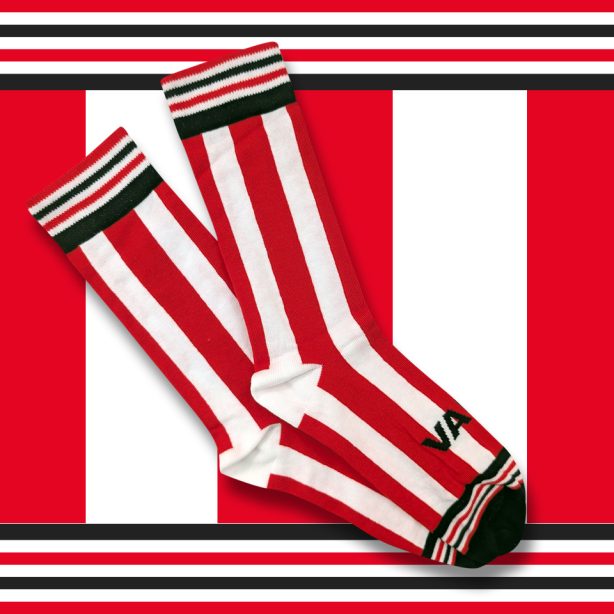 The G Force Socks